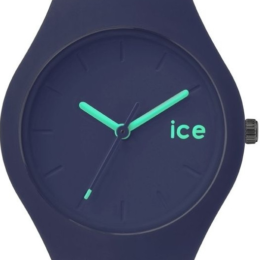 Ice Watch Ice collection ICEFTGSTSS14 2