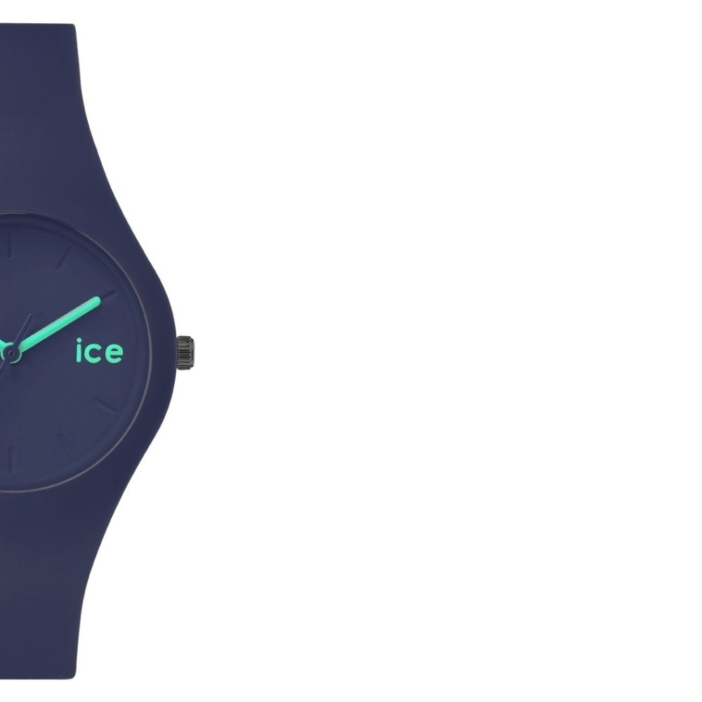 Ice Watch Ice collection ICEFTGSTSS14 6