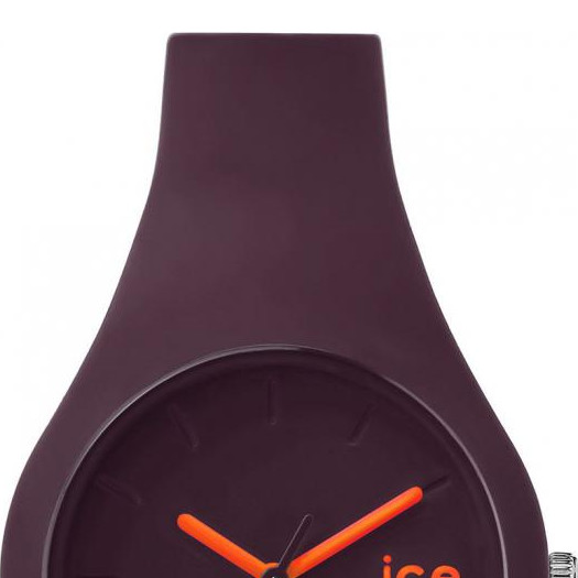 Ice Watch Ice collection ICEFTRWNSS14 3