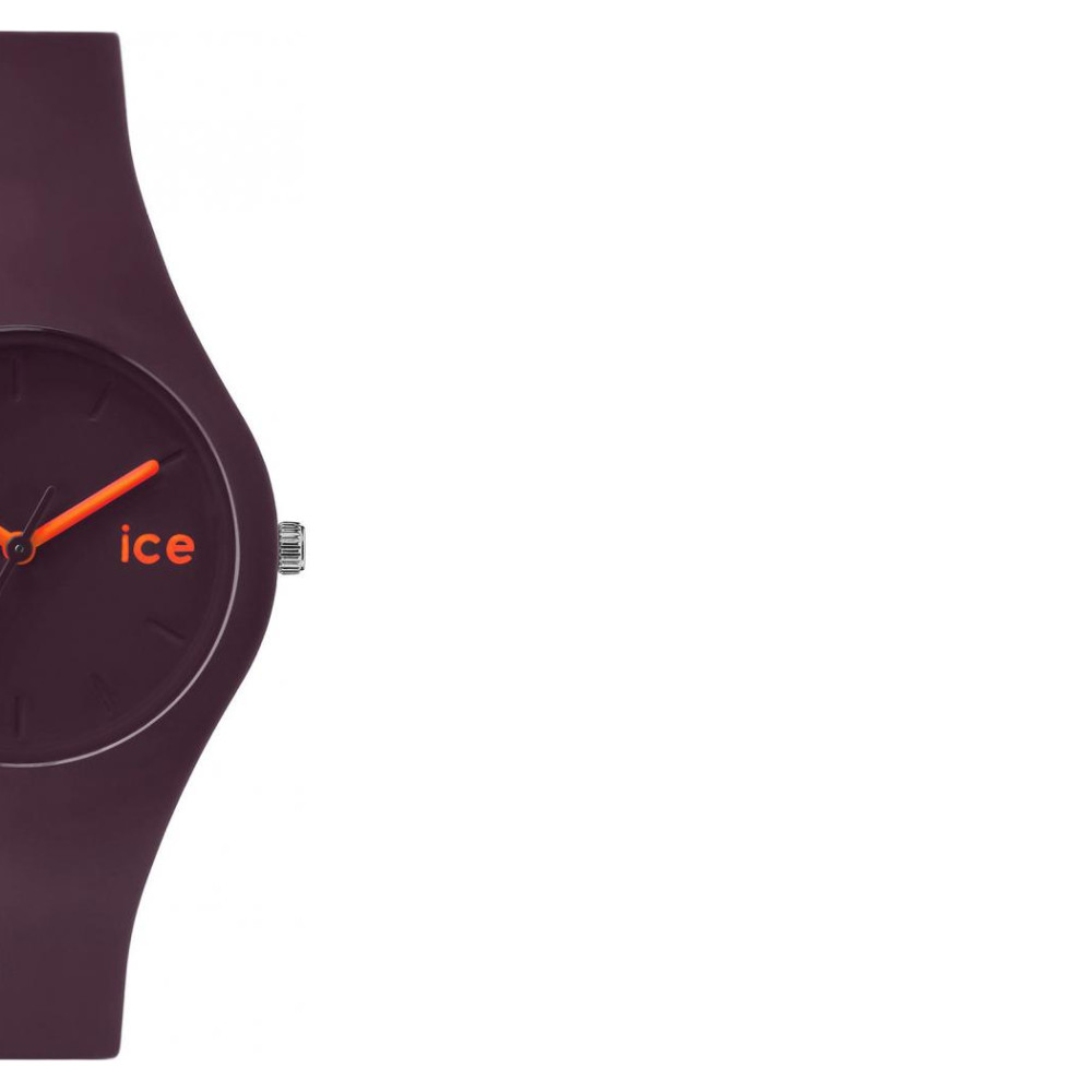Ice Watch Ice collection ICEFTRWNSS14 6