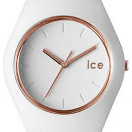 Ice Watch Ice collection ICEGLWRGSS14 2