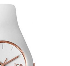 Ice Watch Ice collection ICEGLWRGSS14 5