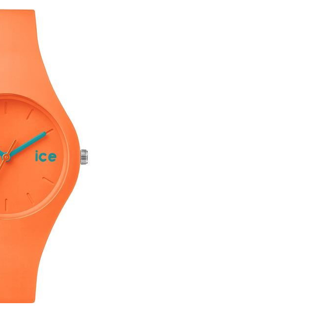 Ice Watch Ice collection ICENOESS14 6
