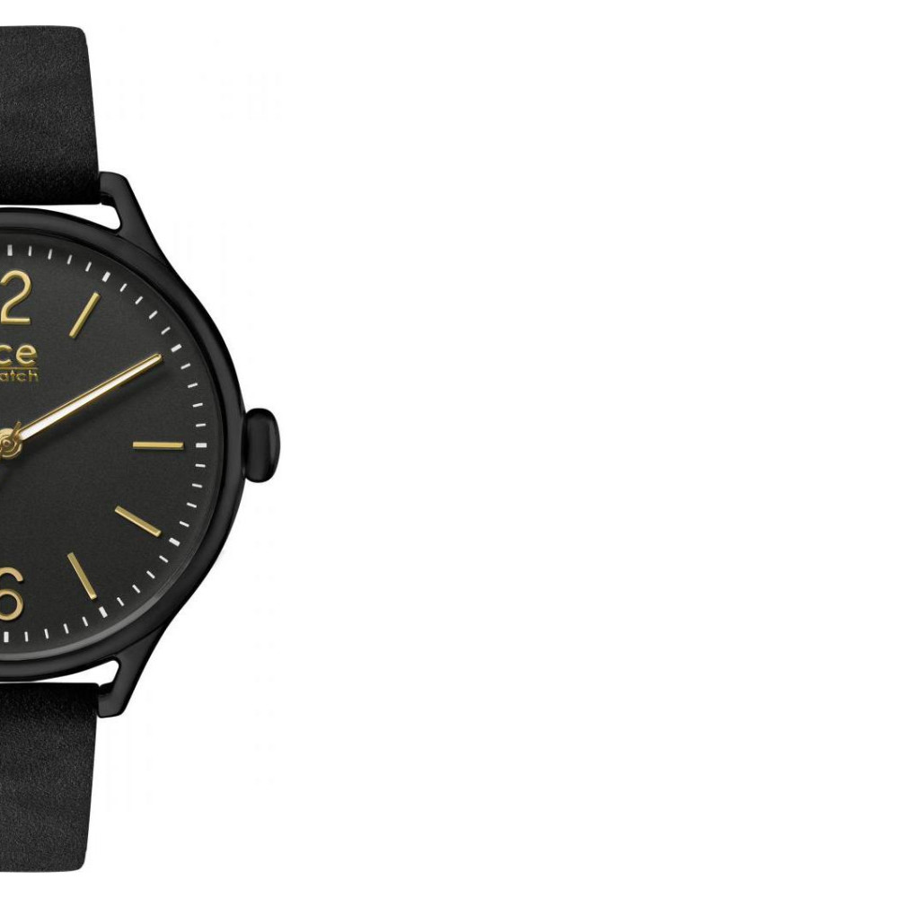 Ice Watch IceTime 013051 6