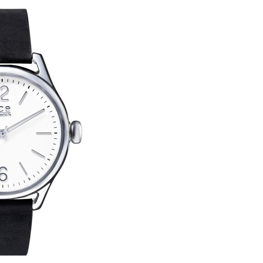 Ice Watch IceTime 013066 6