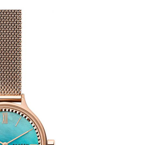 Skagen ANITA SKW2977 - zegarek damski 5