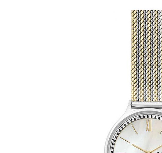 Skagen Anita Mesh SKW2908 - zegarek damski 4