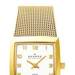 Skagen Damskie 523XSGG523XSGG 3