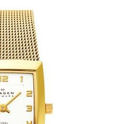 Skagen Damskie 523XSGG523XSGG 5