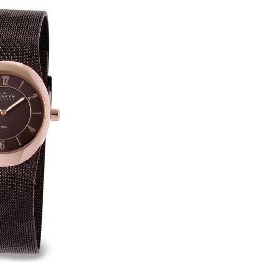 Skagen Damskie 566XSSLB4 6