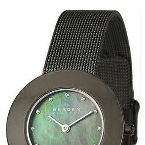 Skagen Damskie 569STTM 3