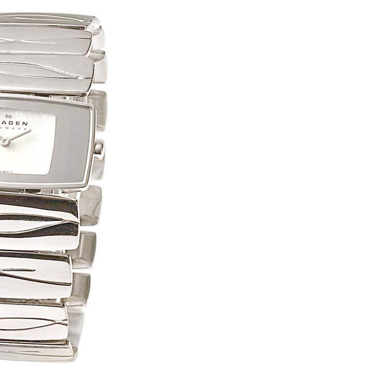 Skagen Damskie 593SSX 6