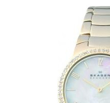 Skagen Damskie 644LGGX 4