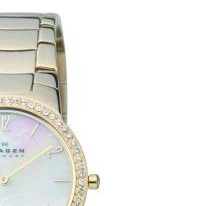 Skagen Damskie 644LGGX 5