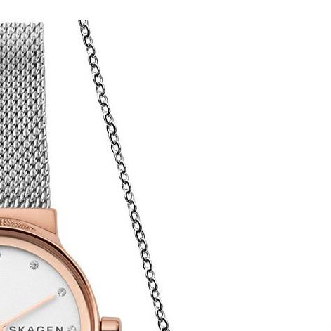 Skagen Damskie SKW1101 3