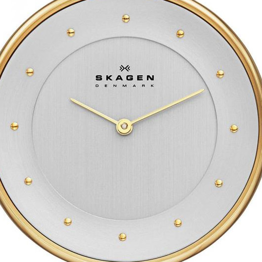 Skagen Damskie SKW2141 2