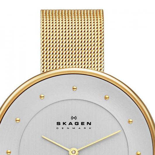 Skagen Damskie SKW2141 3