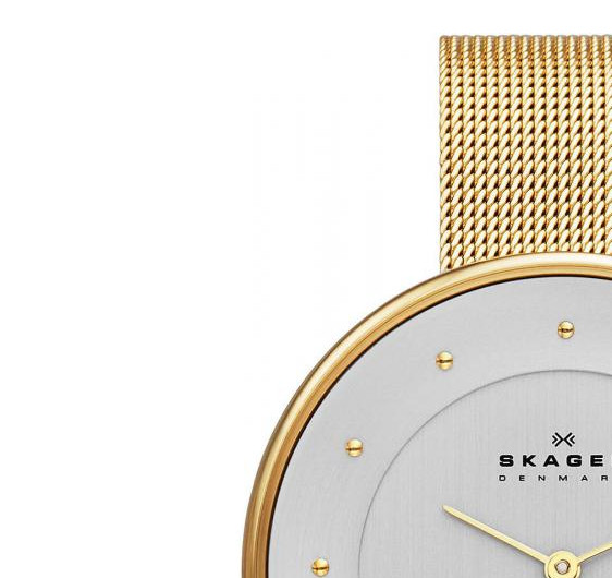 Skagen Damskie SKW2141 4