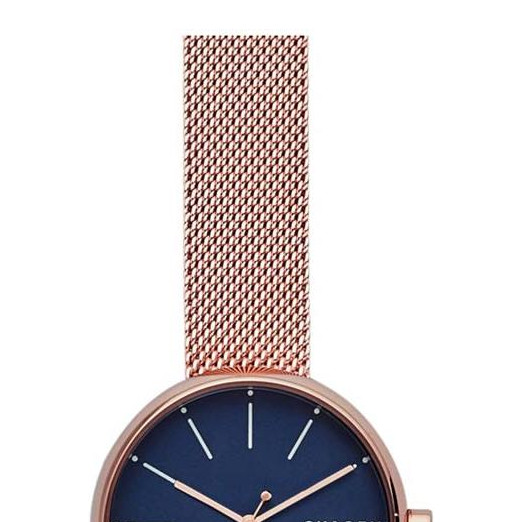Skagen Damskie SKW2593 3