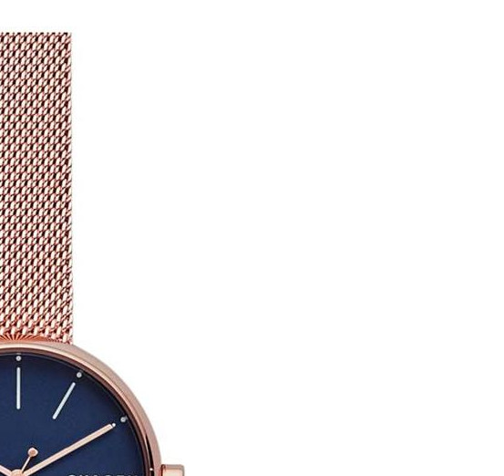Skagen Damskie SKW2593 5