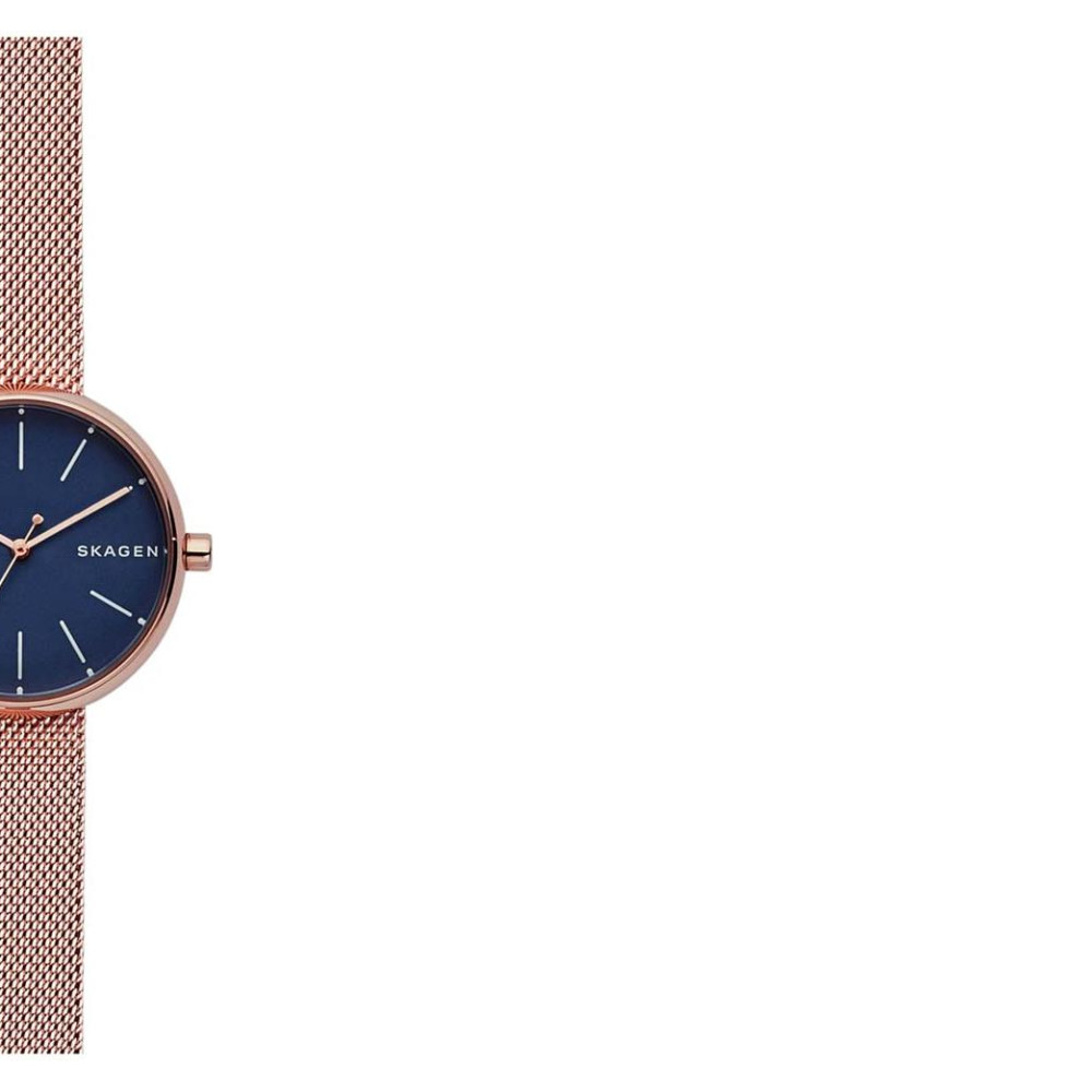 Skagen Damskie SKW2593 6