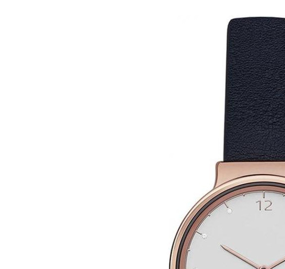 Skagen Damskie SKW2608 4