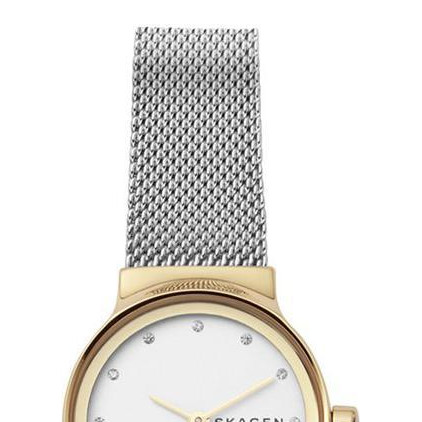 Skagen Damskie SKW2666 3