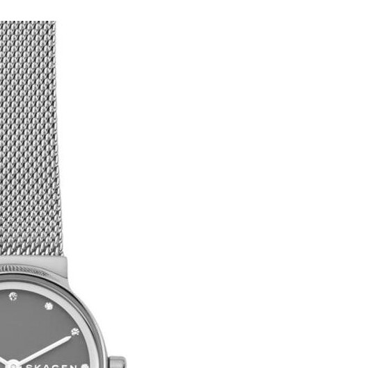 Skagen Damskie SKW2667 5