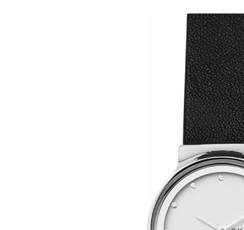 Skagen Damskie SKW2668 4