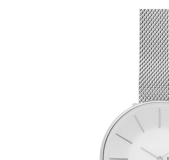 Skagen Damskie SKW2687 4