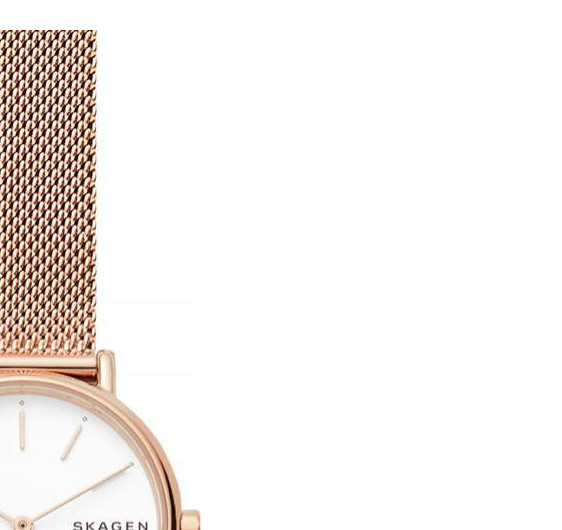 Skagen Damskie SKW2694 5