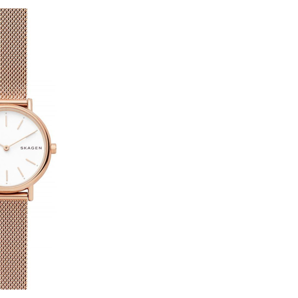 Skagen Damskie SKW2694 6