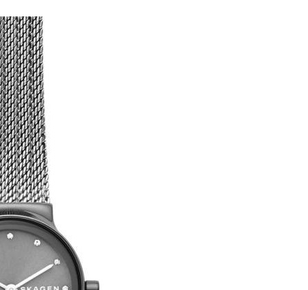 Skagen Damskie SKW2700 5