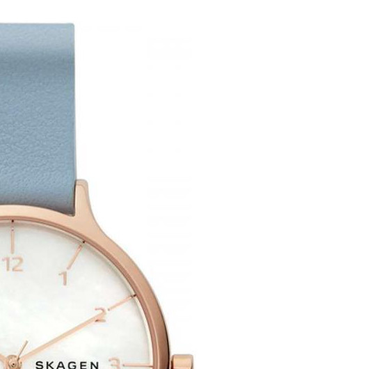 Skagen Damskie SKW2703 5