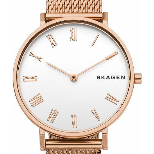 Skagen skw2714 best sale