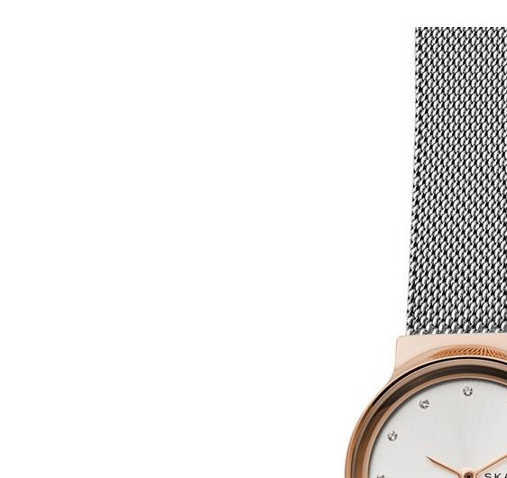 Skagen Damskie SKW2716 4