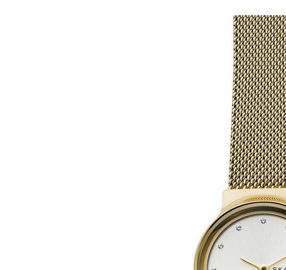 Skagen Damskie SKW2717 4