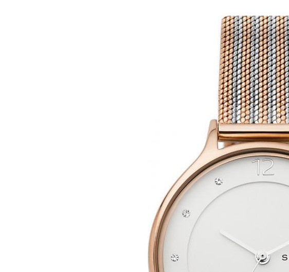 Skagen Damskie SKW2749 4