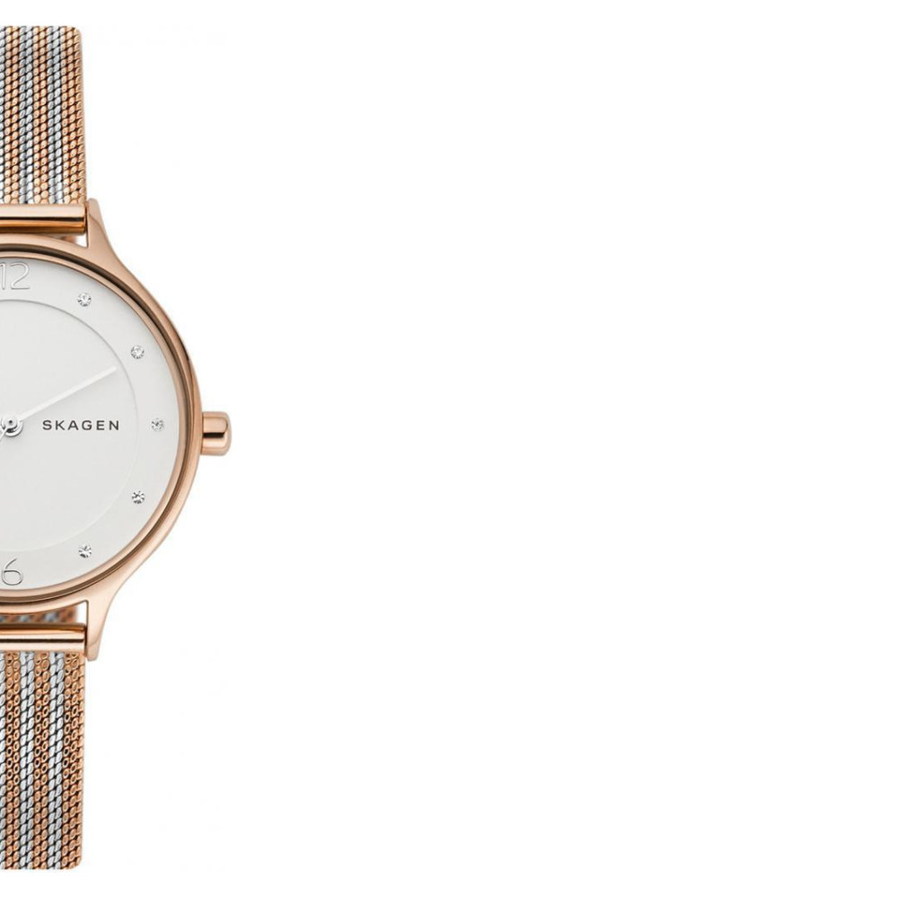 Skagen Damskie SKW2749 6