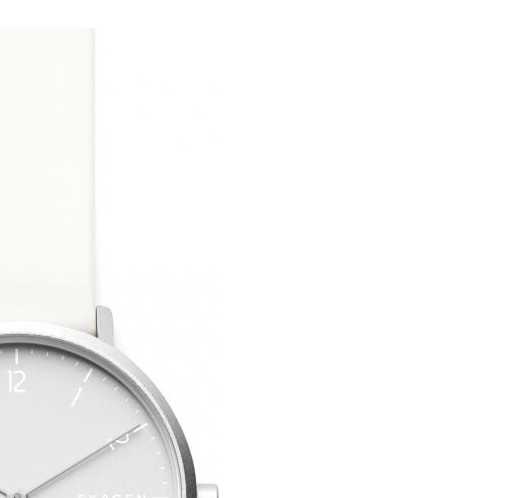 Skagen Damskie SKW2763 5