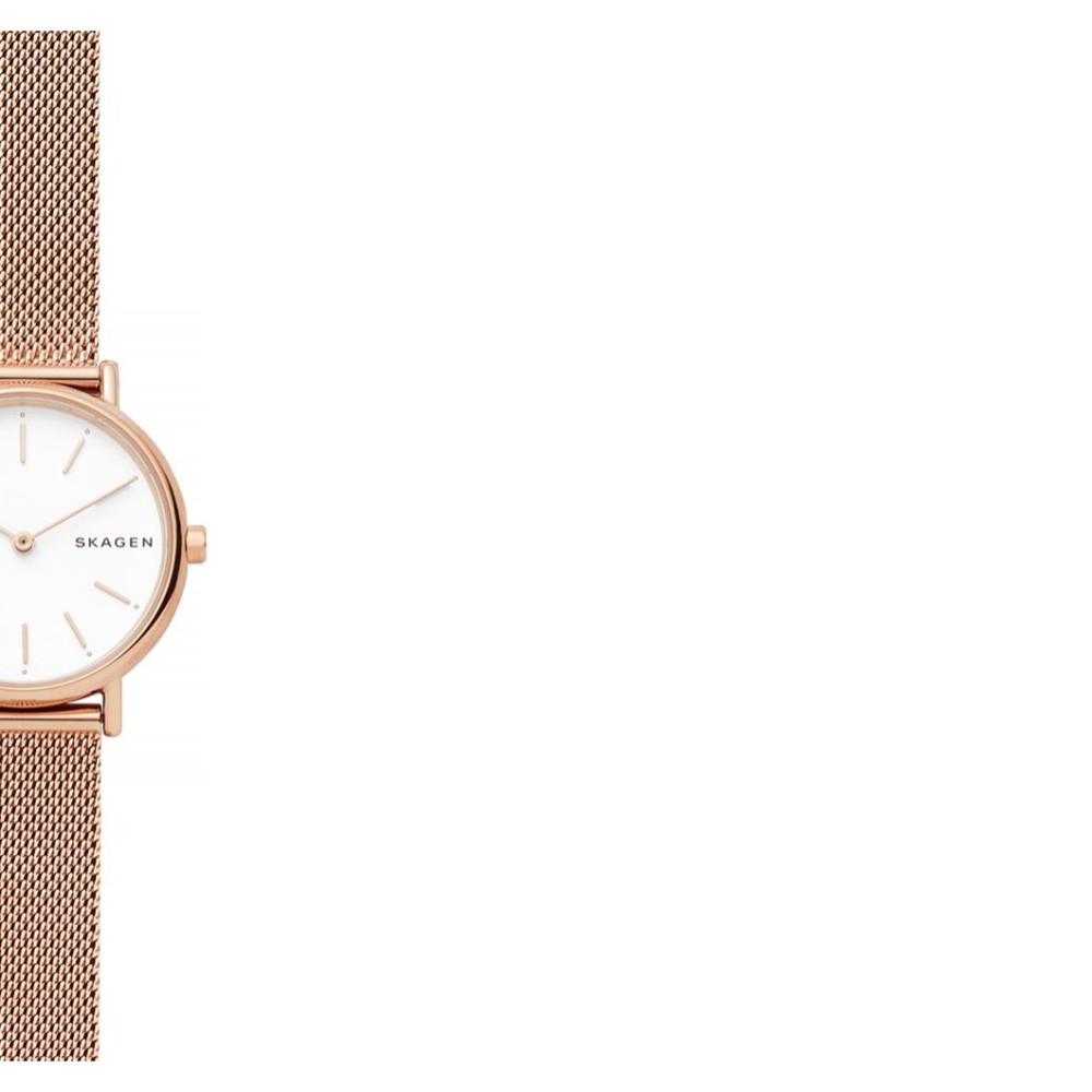 Skagen Damskie skagen 6