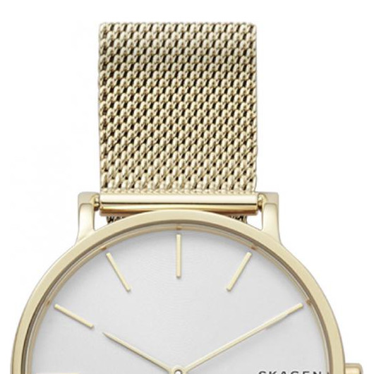 Skagen Męskie SKW6443 3