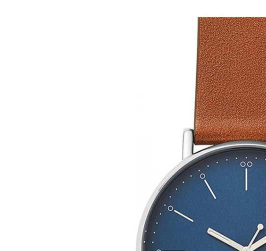 Skagen Męskie SKW6551 4