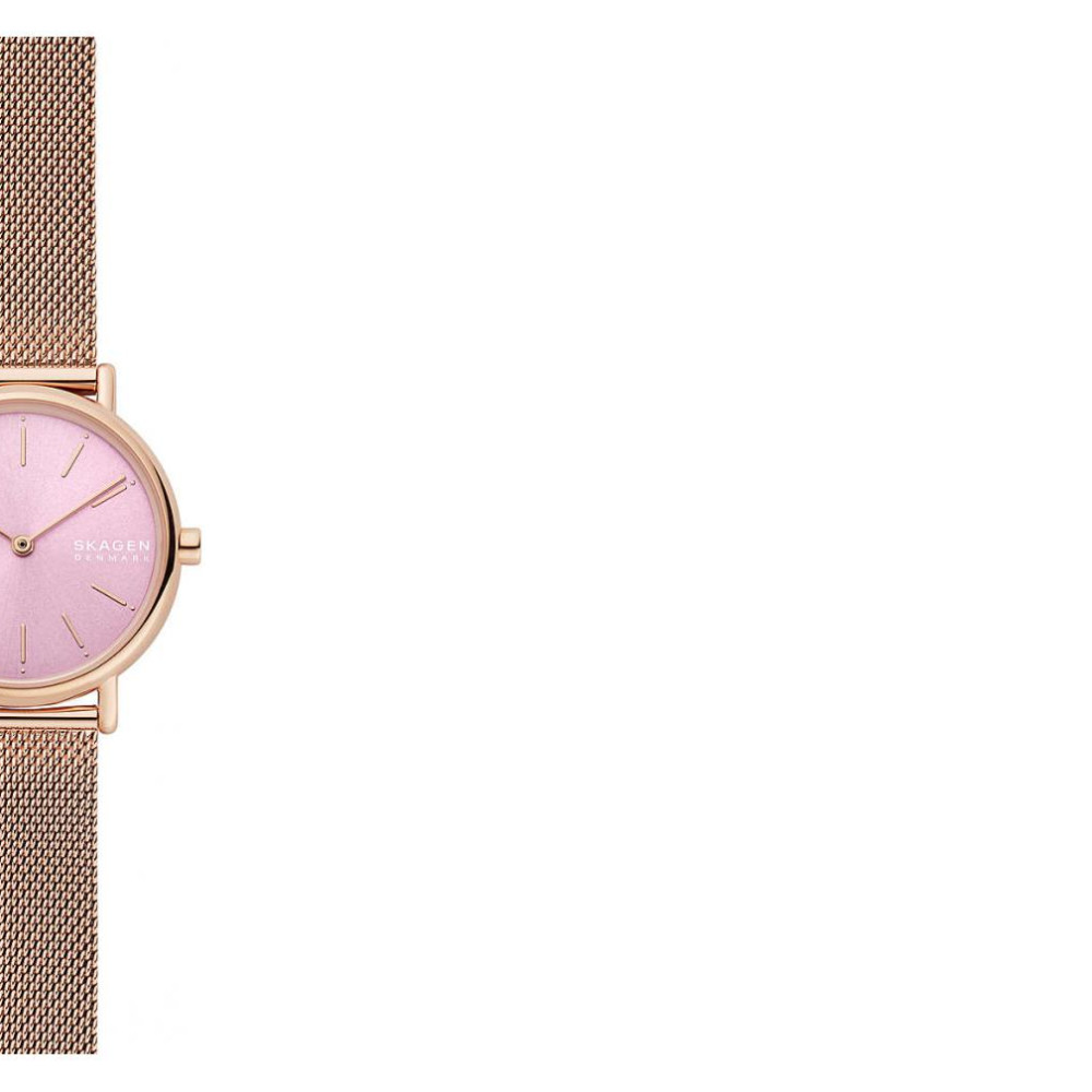 Skagen Signatur SKW2975 - zegarek damski 6