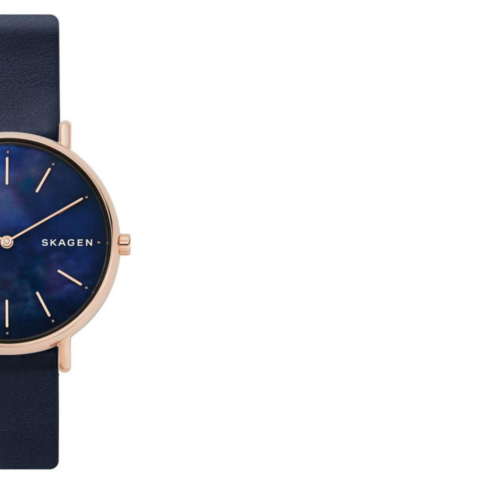 Skagen Skagen SKW2731 6