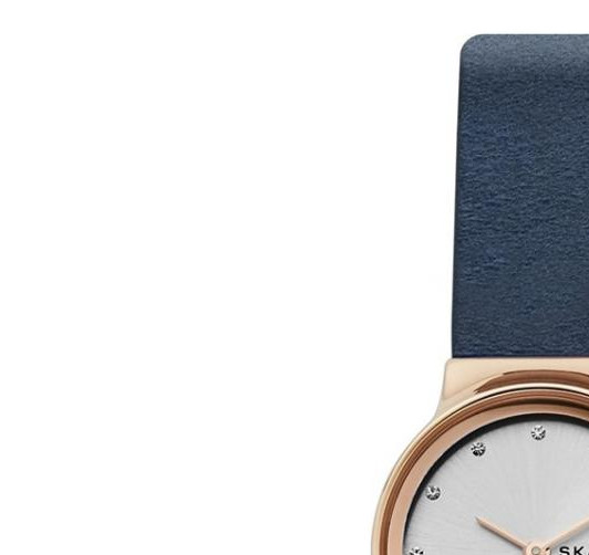 Skagen Skagen SKW2744 4