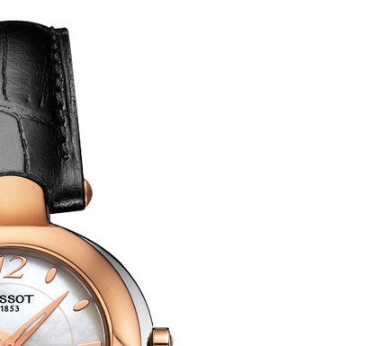 TISSOT ORGANDY T9162094611701 5