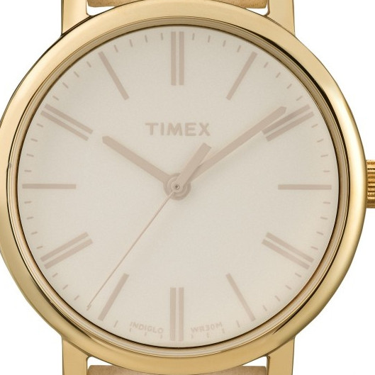 Timex CLASSIC TW2P96200 2