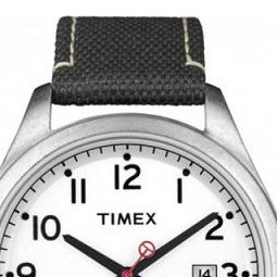 Timex Classic T2N223 3