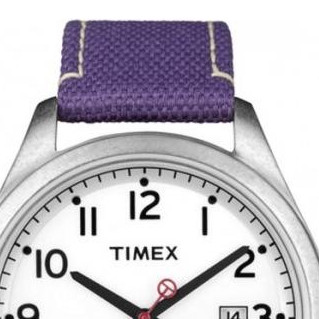 Timex Classic T2N225 3